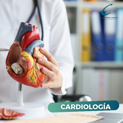 Cardiología