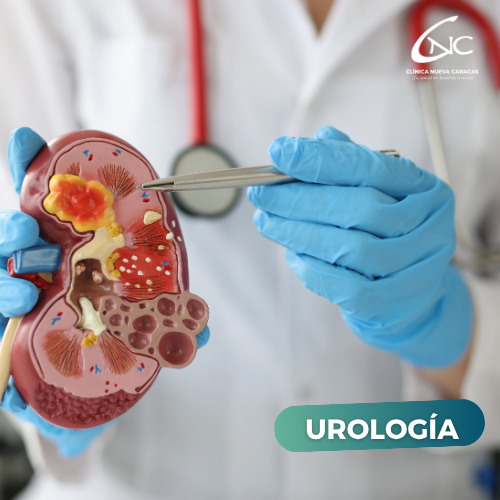 Urología